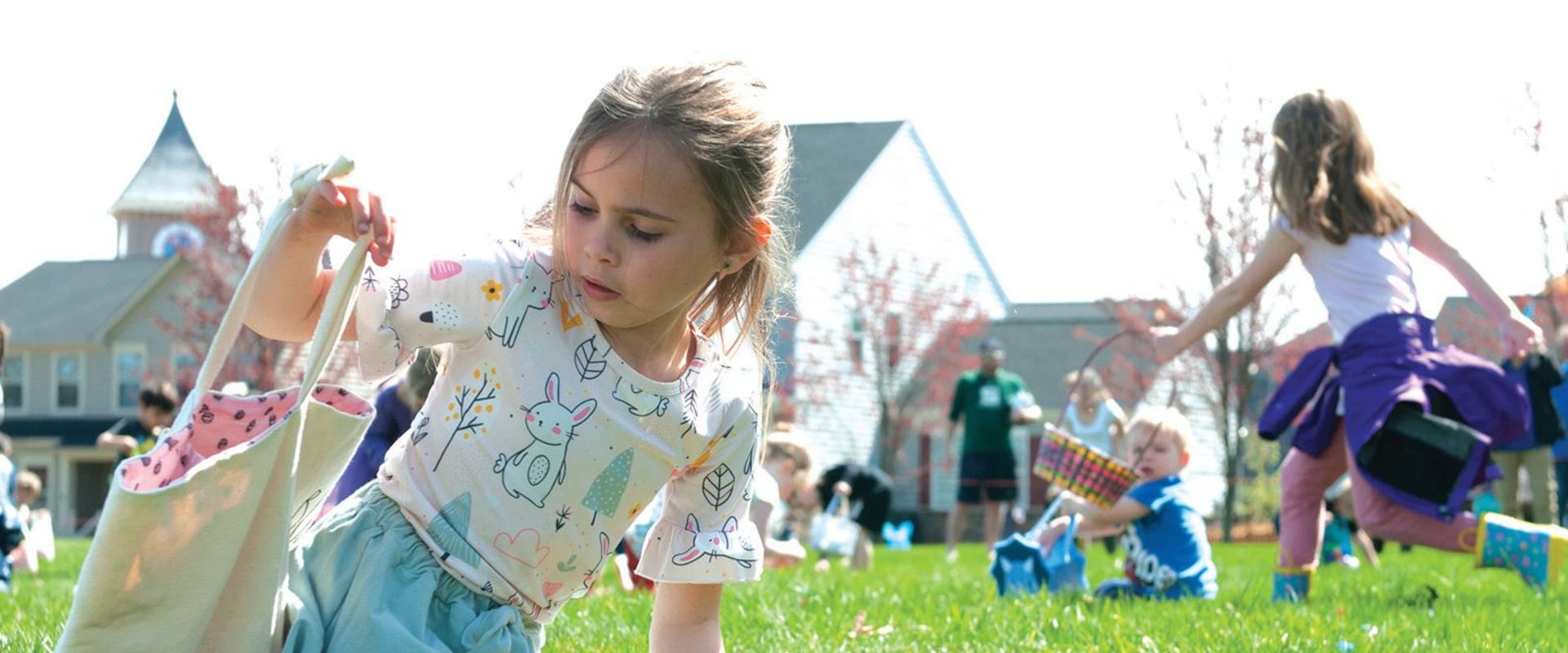 Nonprofit Organizations in Loudoun County, VA: Leading the Way in Environmental Sustainability
