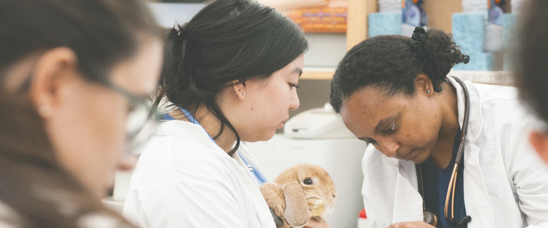 Addressing Mental Health and Wellness: The Role of Nonprofit Organizations in Loudoun County, VA