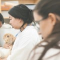 The Impact of Nonprofit Organizations in Loudoun County, VA
